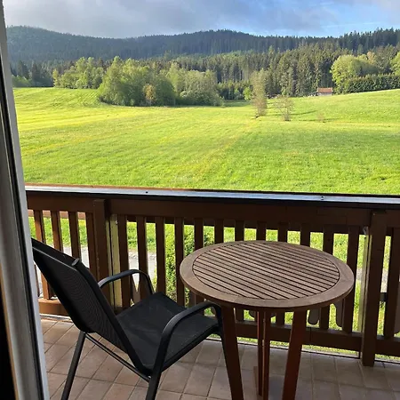 Apartman Holzferienhaeuser Leithenwald Zwiesel