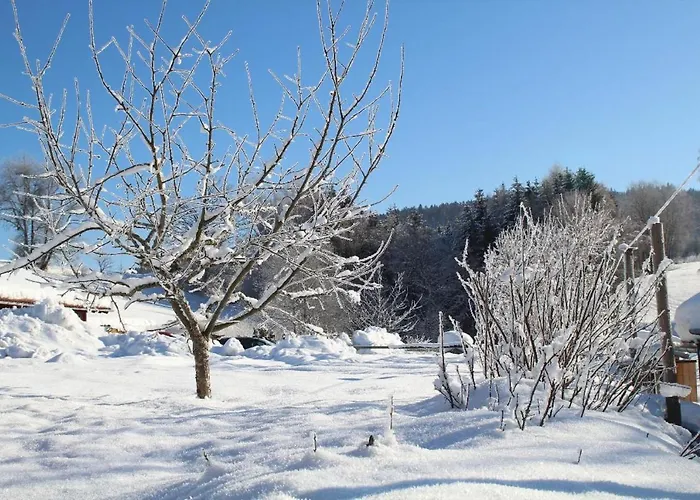 Διαμέρισμα Holzferienhaeuser Leithenwald Zwiesel
