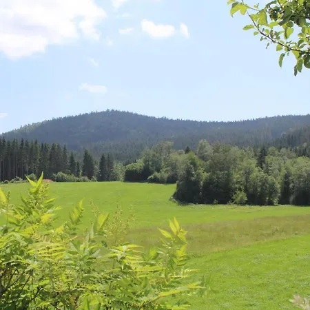 Holzferienhäuser Leithenwald Apartment Zwiesel