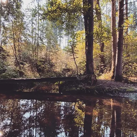 Holzferienhaeuser Leithenwald
