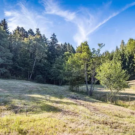 Holzferienhaeuser Leithenwald Appartement Zwiesel