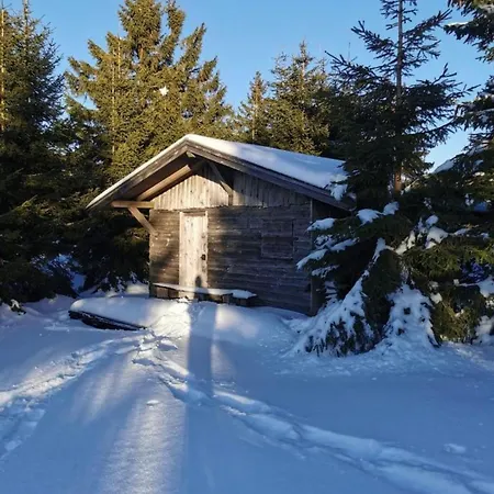 Holzferienhaeuser Leithenwald Appartement