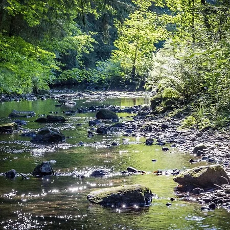Holzferienhaeuser Leithenwald