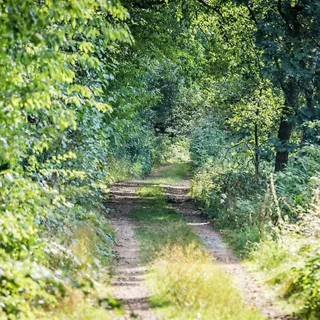 Holzferienhaeuser Leithenwald Zwiesel