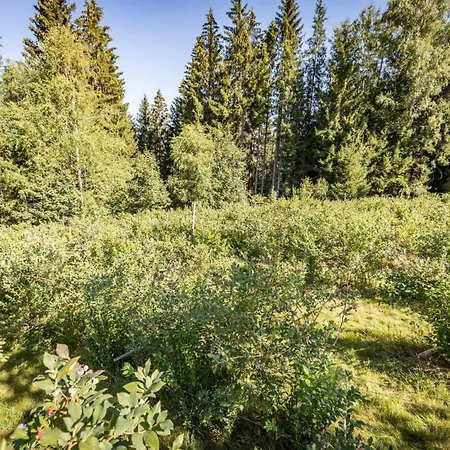 Appartement Holzferienhaeuser Leithenwald