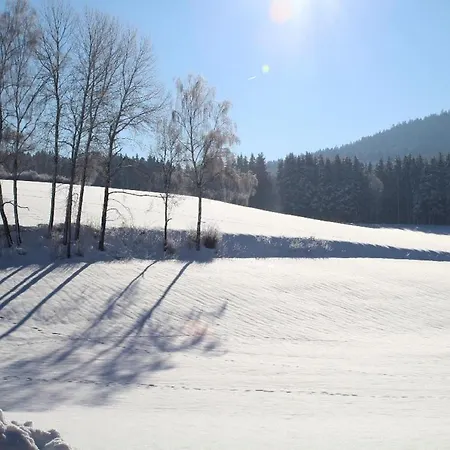 Holzferienhäuser Leithenwald * Zwiesel